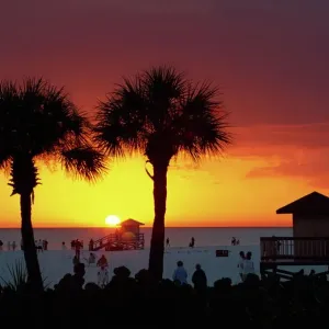 Florida Verwandte Bilder