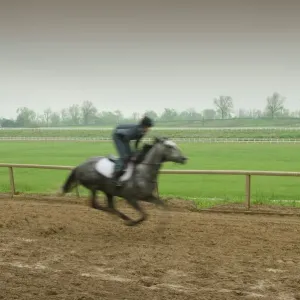 El Centro de Puras Razas El Centro de Puras Razas