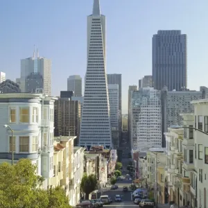 TransAmerica Pyramid Print, San Francisco TransAmerica Pyramid Print, San Francisco