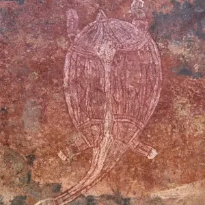 Turtle Print from Obirr Rock, Kakadu National Park Turtle Print from Obirr Rock, Kakadu National Park