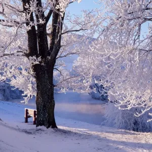 Winter Landscape Print beside the River Tay in Aberfeldy, Perthshire Winter Landscape Print beside the River Tay in Aberfeldy, Perthshire