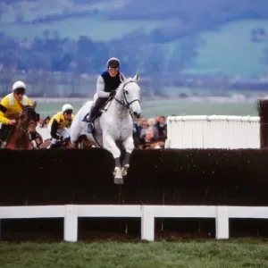 Desert Orchid Print - Cheltenham Gold Cup 1990 Desert Orchid Print - Cheltenham Gold Cup 1990