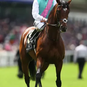 Frankel Print at Royal Ascot 2012 Frankel Print at Royal Ascot 2012