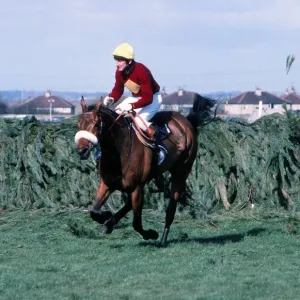1977 Grand National Print: Red Rum and Tommy Stack Clear the Last Fence 1977 Grand National Print: Red Rum and Tommy Stack Clear the Last Fence