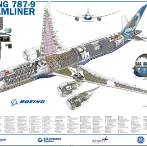 Boeing 787-9 Print Cutaway Boeing 787-9 Print Cutaway