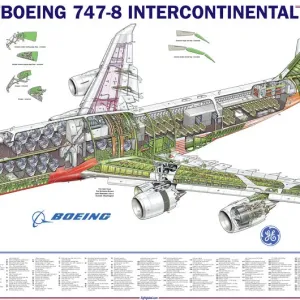 Boeing 747-8 Cutaway Print Boeing 747-8 Cutaway Print