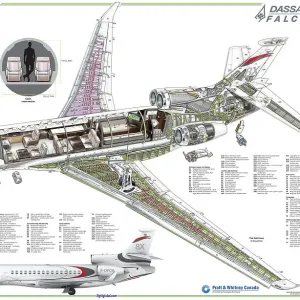 Das Dassault Falcon 8X Schnittbild