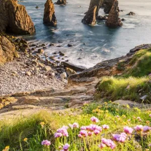 Crohy Head, County Donegal, Ulster region, Ireland, Europe Crohy Head, County Donegal, Ulster region, Ireland, Europe
