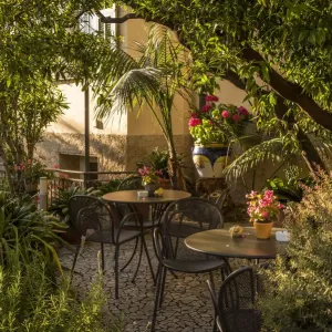 Print of Bordighera's Hotel Villa Elisa Garden Print of Bordighera's Hotel Villa Elisa Garden
