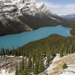 Peyto Lake Print, Coloured by Glacial Silt Peyto Lake Print, Coloured by Glacial Silt