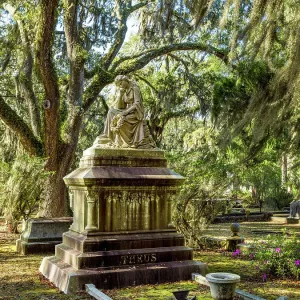 Bonaventure Cemetery Print, Savannah Georgia USA Bonaventure Cemetery Print, Savannah Georgia USA