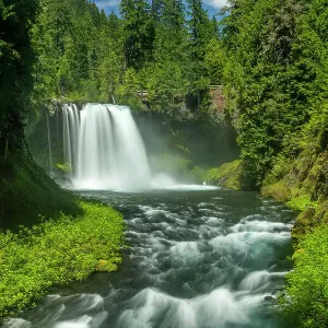 Koosah Falls, Willamette National Forest, Oregon, USA Koosah Falls, Willamette National Forest, Oregon, USA