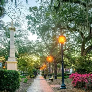 Monterey Square Savannah Print, Q3 2024 Monterey Square Savannah Print, Q3 2024