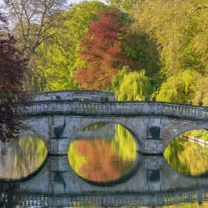 Clare College Bridge Print, The Backs, Cambridge Clare College Bridge Print, The Backs, Cambridge