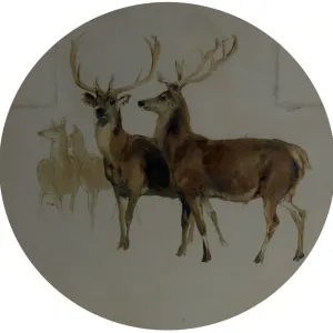 Deer in a Landscape Print - Oil on Canvas Study Deer in a Landscape Print - Oil on Canvas Study