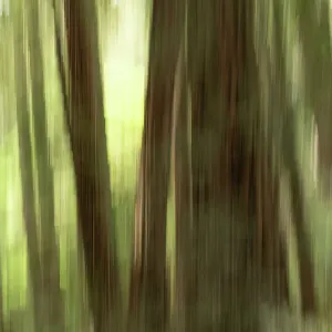 Abstract Trees Print - A Tree Silhouette Artwork Abstract Trees Print - A Tree Silhouette Artwork