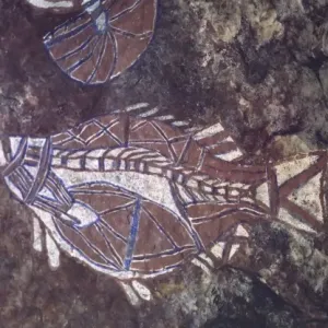 Kakadu NP Blue Fish Print Kakadu NP Blue Fish Print