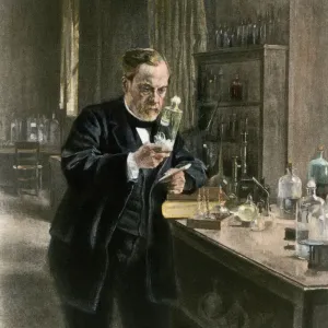 Louis Pasteur in his laboratory Print Louis Pasteur in his laboratory Print