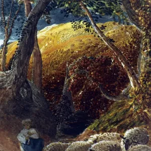 Print of Palmer's Apple Tree on Canvas, 19th century Print of Palmer's Apple Tree on Canvas, 19th century