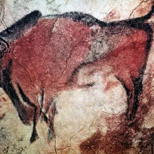 Print of Standing Bull Bison from Altamira Cave, c10,000 B.C Print of Standing Bull Bison from Altamira Cave, c10,000 B.C