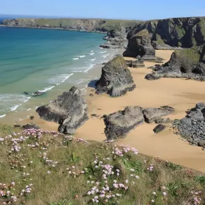 Print of The Bedruthan Steps on a Spring Day with Thrift in Bloom Print of The Bedruthan Steps on a Spring Day with Thrift in Bloom