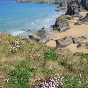 Print of The Bedruthan Steps on a Spring Day with Thrift in Bloom Print of The Bedruthan Steps on a Spring Day with Thrift in Bloom