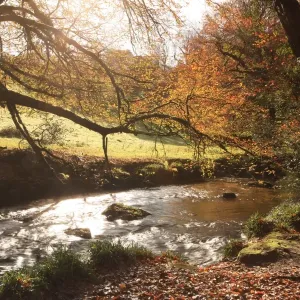 Golitha Falls Golitha Falls