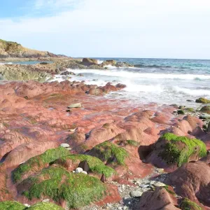 Baia di Talland Baia di Talland