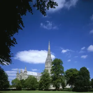 Salisbury Print: A Summer's Day at Salisbury Cathedral