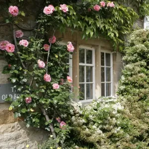 Drucke von : WIndows