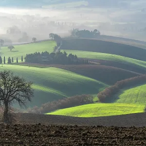 Countryside
