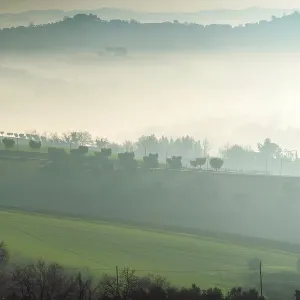 Countryside