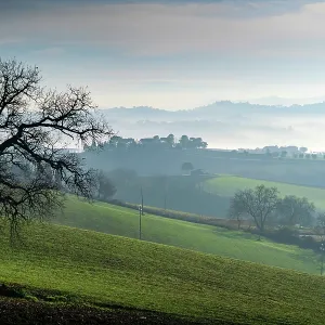 Countryside