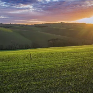 Paisaje del campo.