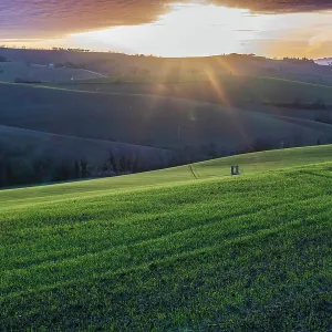 Paisaje del campo.