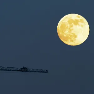 Mond und Krane Mond und Krane