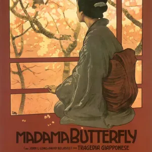 Madame Butterfly Art Print Madame Butterfly Art Print