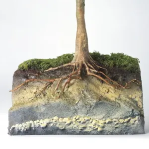 Tree Root Model Print Tree Root Model Print