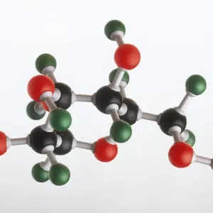 Model of a glucose molecule, showing the atomic structure of Oxygen, Carbon and Hydrogen involved in photosynthesis Model of a glucose molecule, showing the atomic structure of Oxygen, Carbon and Hydrogen involved in photosynthesis