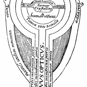 Alhazen Print, Woodcut of Arab Mathematician's Eye Anatomy Alhazen Print, Woodcut of Arab Mathematician's Eye Anatomy