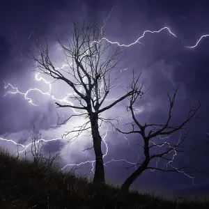 Thunderstorm over a Dead Tree Print Thunderstorm over a Dead Tree Print