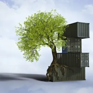 Tree Roots on Cargo Containers Print Tree Roots on Cargo Containers Print