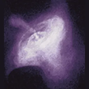 Drucke von Bilder datiert: 1999