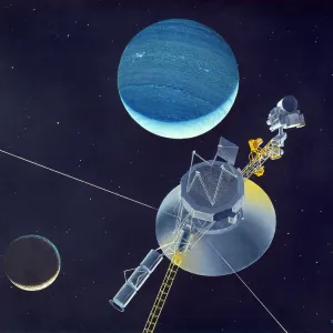 Drucke von Bilder datiert: 1981