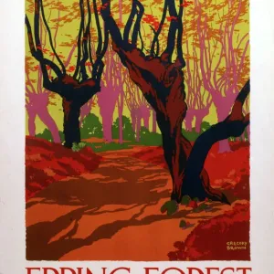 Epping Forest Print, 1000 mm x 630 mm Epping Forest Print, 1000 mm x 630 mm