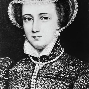 Portrait Illustré De La Reine Marie Portrait Illustré De La Reine Marie