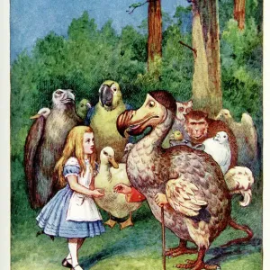 Alice and the Dodo Vintage Colour Lithograph Print Alice and the Dodo Vintage Colour Lithograph Print