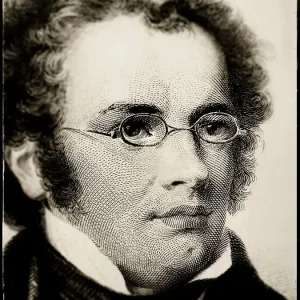 Fine Art Storehouse Print of Franz Schubert Portrait