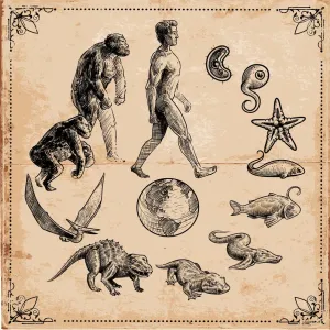 Evoluzione della Vita Evoluzione della Vita