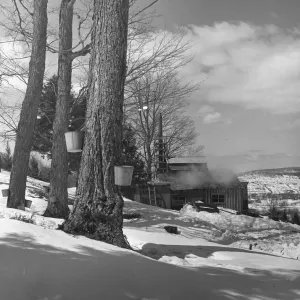 Winter Winter